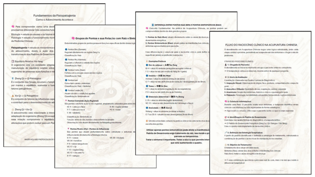 Prévia de quatro esquemas didáticos complementares da Masterclass em Fisiopatogenia, desenvolvidos para facilitar a compreensão da Medicina Chinesa e aprimorar o raciocínio clínico e terapêutico.